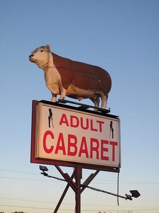 Adult Cowbaret